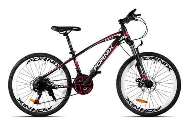 Xe đạp fornix ms50